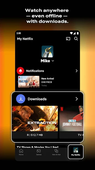 Netflix Premium