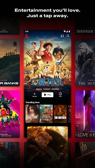 Netflix Premium