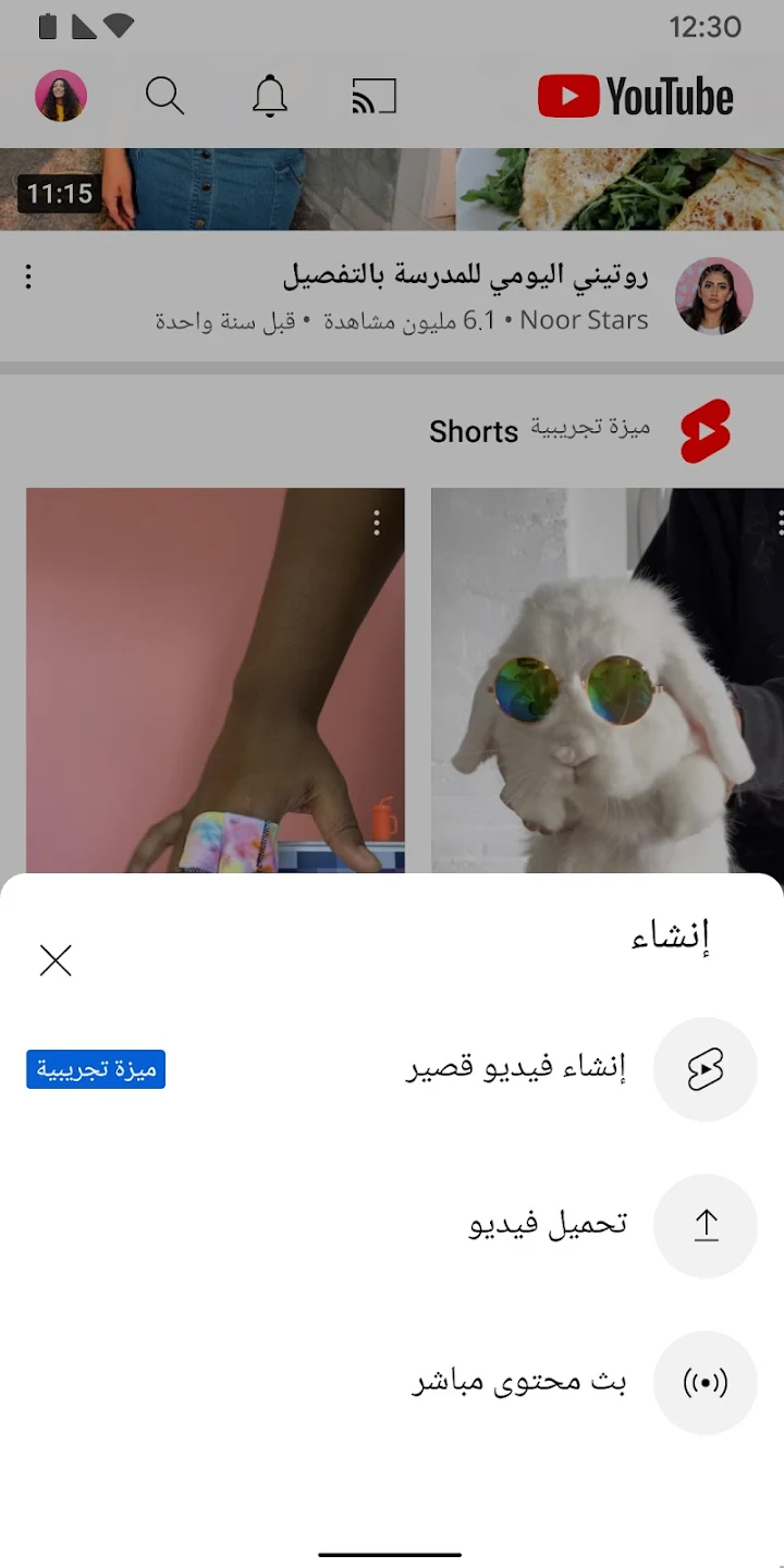 YouTube Pro