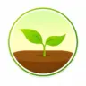 Forest مهكر